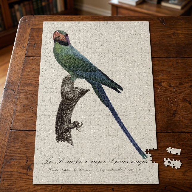 Puzzle Perico Colilargo, Psittacula Longicauda (Long-Tailed Parakeet, Psittacula Longicauda. Jigsaw Puzzle)