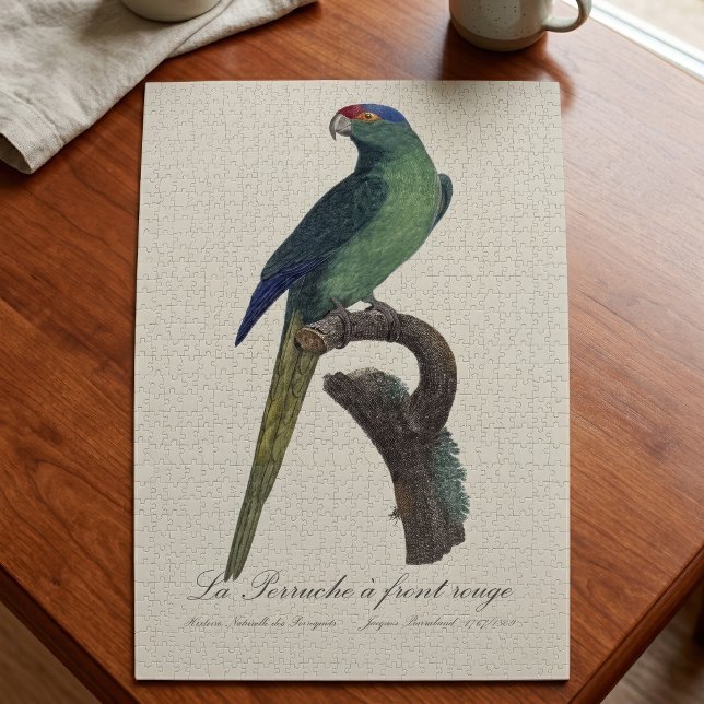 Puzzle Perico Frentianaranjado, Eupsittula Canicularis (Orange-Fronted Parakeet, Eupsittula Canicularis. Jigsaw Puzzle)