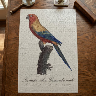 Puzzle Perico Sol, Aratinga Solstitialis