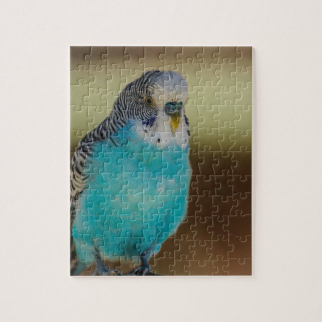 Puzzle Periquito azul (Vertical)