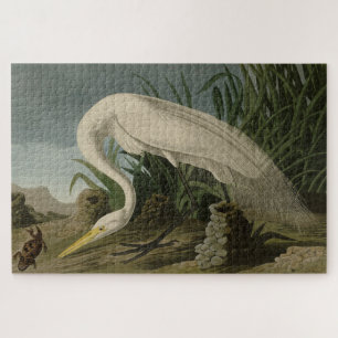 Puzzle Perón blanco, gran hierba, aves auduónicas de Amér