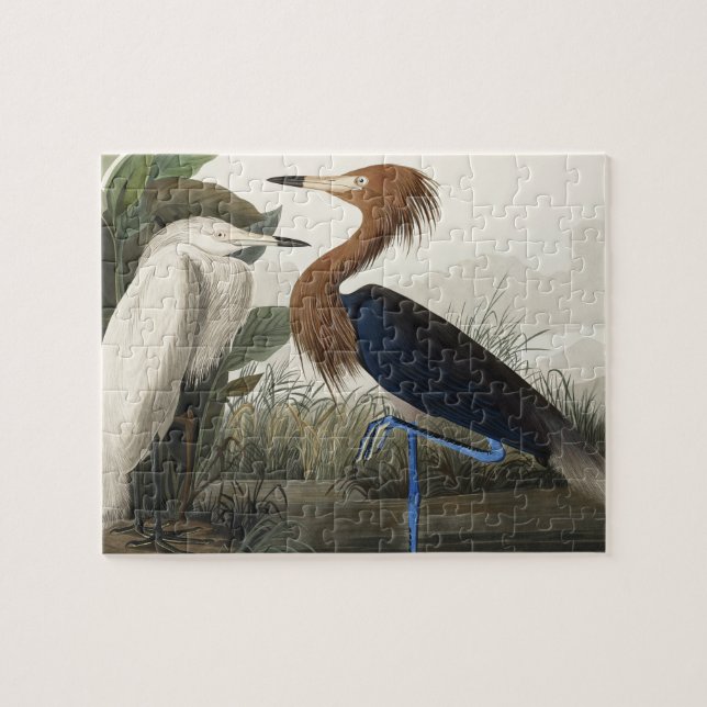 Puzzle Perón morado de pájaros de América (Horizontal)