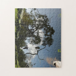 Puzzle Perón volando sobre el estanque; Naturaleza