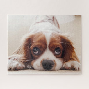 Puzzle Perrito