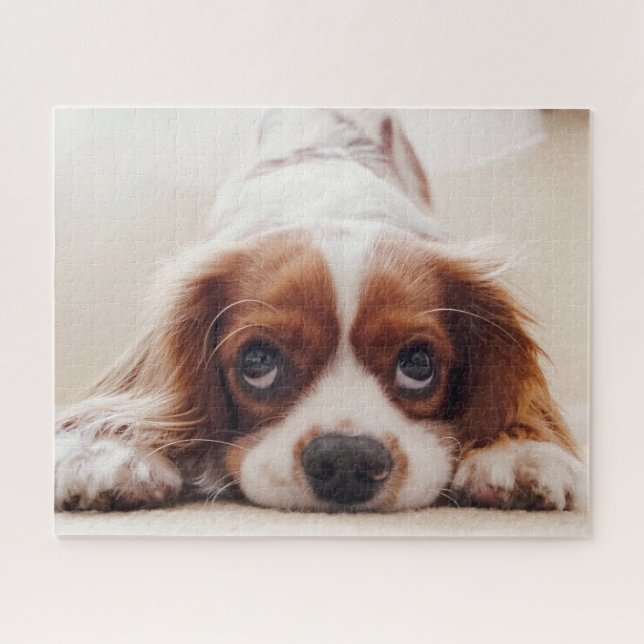 Puzzle Perrito (Horizontal)