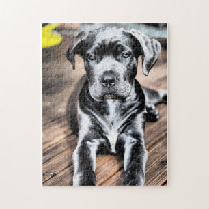 Puzzle perrito 2.png del corso del bastón
