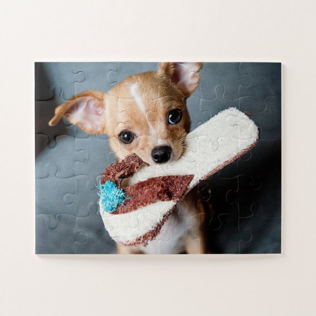 Puzzle Perrito adorable de la chihuahua (Horizontal)