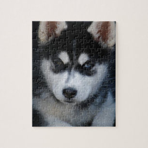 Puzzle Perrito adorable del perro de trineo del husky