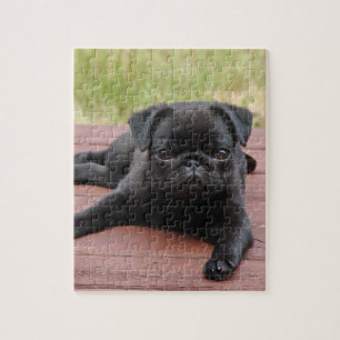 PUZZLE PERRITO ALERTA DEL BARRO AMASADO
