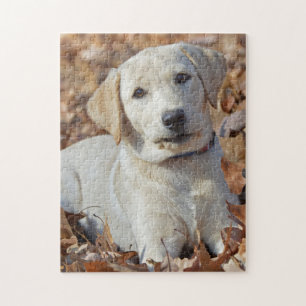 Puzzle Perrito amarillo joven del labrador retriever