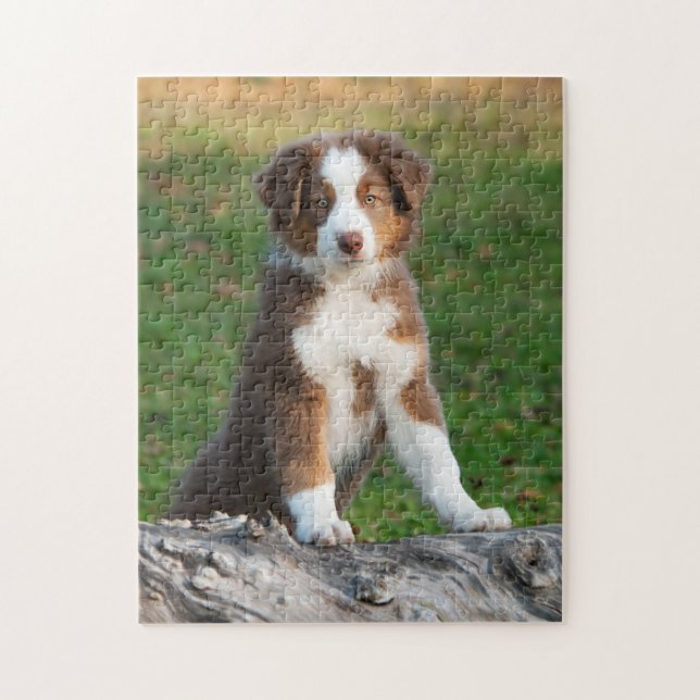 Puzzle Perrito australiano lindo del pastor (Vertical)