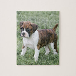 Puzzle Perrito Brindle llamativo del boxeador -
