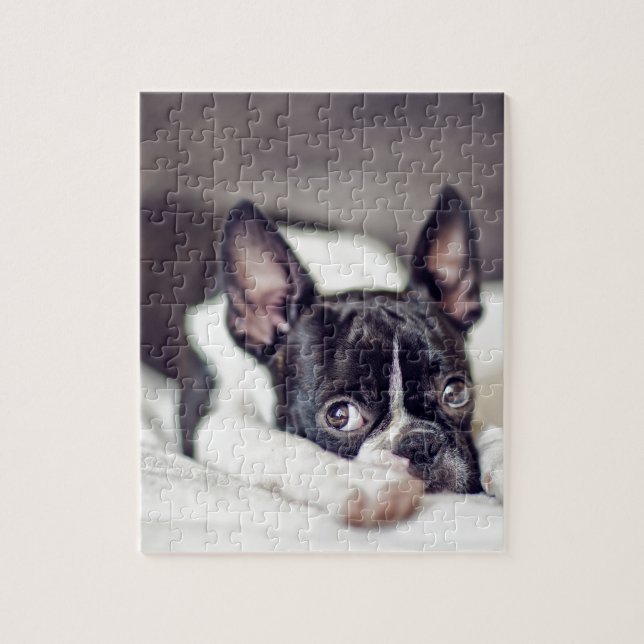 Puzzle Perrito de Boston Terrier (Vertical)