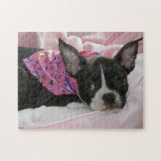 Puzzle Perrito de Boston Terrier (Horizontal)