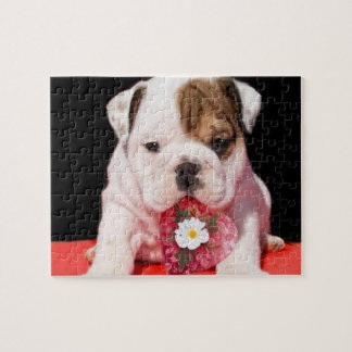 Puzzle Perrito de bulldog de San Valentín