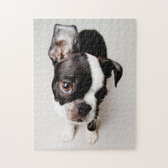 Puzzle Perrito de Edison Boston Terrier (Vertical)