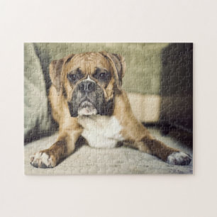 Puzzle Perrito del boxeador del cervatillo