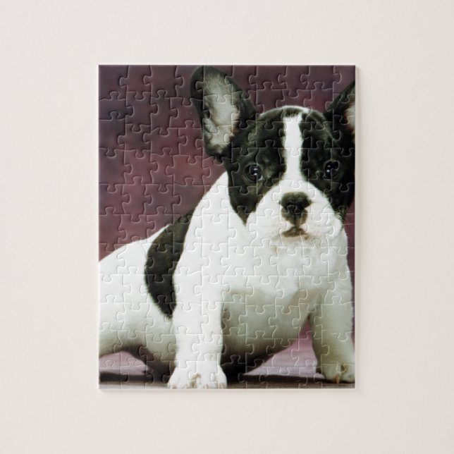 Puzzle Perrito del bulldog de Brindle_pied_french (Vertical)