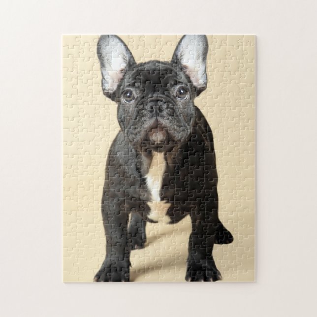 Puzzle Perrito del bulldog francés (Vertical)