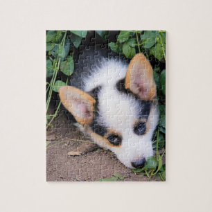 Puzzle Perrito del Corgi Galés del Pembroke