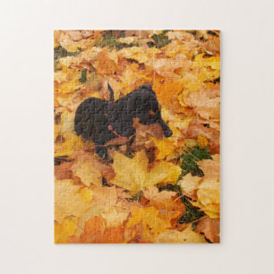 Puzzle Perrito del Dachshund
