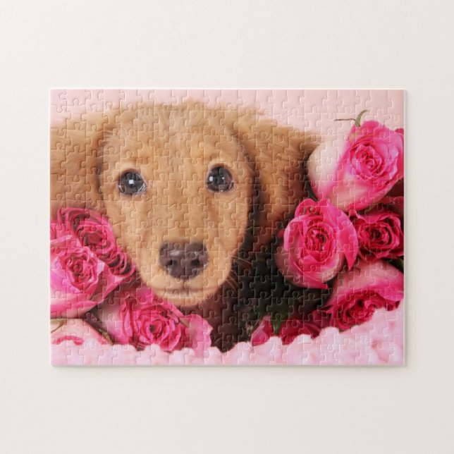 Puzzle Perrito del Dachshund rodeado por los rosas (Horizontal)