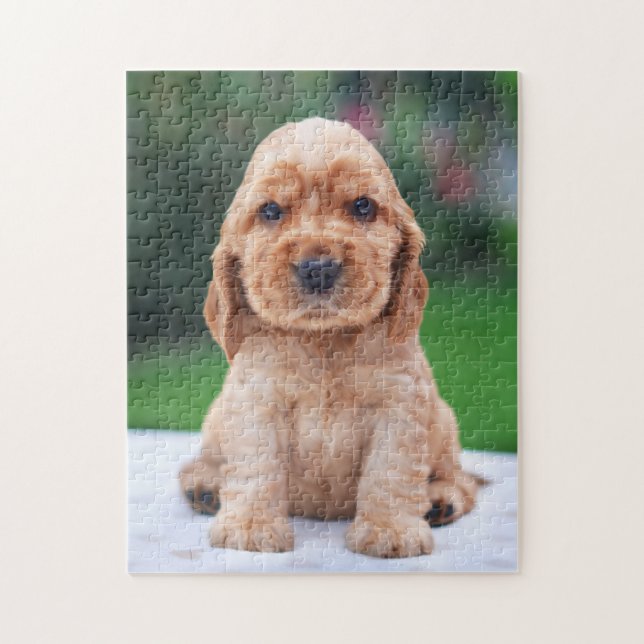 Puzzle Perrito del perro de aguas de Coker (Vertical)