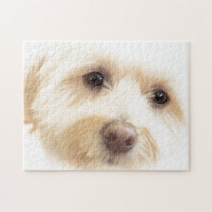 Puzzle Perrito divino
