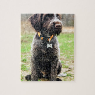 Puzzle Perrito el señalar Griffon Wirehaired