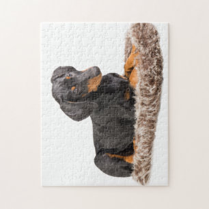 Puzzle perrito lindo del pinscher del doberman