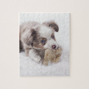 Puzzle perrito rojo australiano del merle