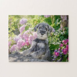 Puzzle Perrito Schnauzer estándar en un jardín florido
