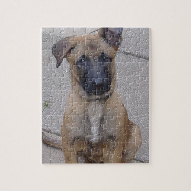 Puzzle perrito sitting.png de los malinois (Vertical)