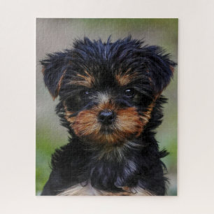 Puzzle Perrito yorkie