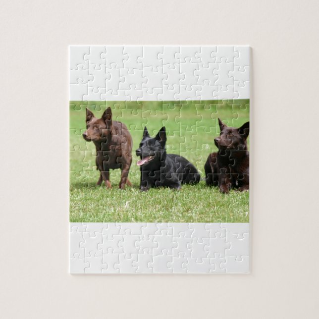 Puzzle Perritos australianos del Kelpie (Vertical)