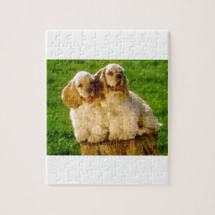 Puzzle Perritos de cocker spaniel del americano en un