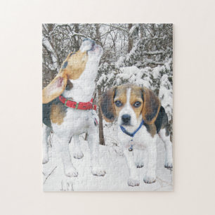 Puzzle Perritos del beagle en las maderas Nevado