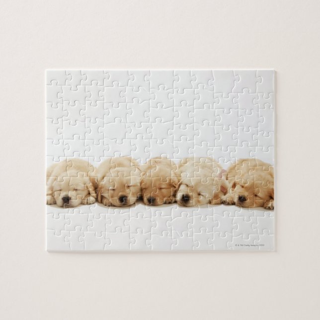 Puzzle Perritos del golden retriever (Horizontal)