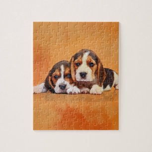 Puzzle Perritos lindos del beagle