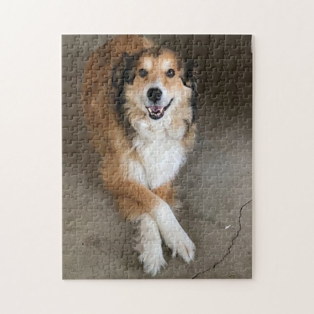Puzzle Perro (Vertical)