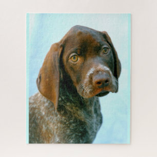 Puzzle Perro