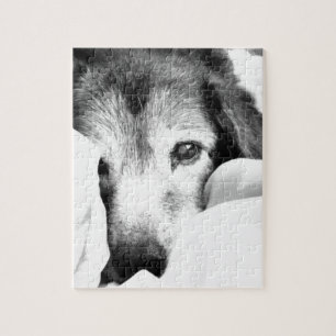 Puzzle perro acurrucado dormilón en la cama blanco negro
