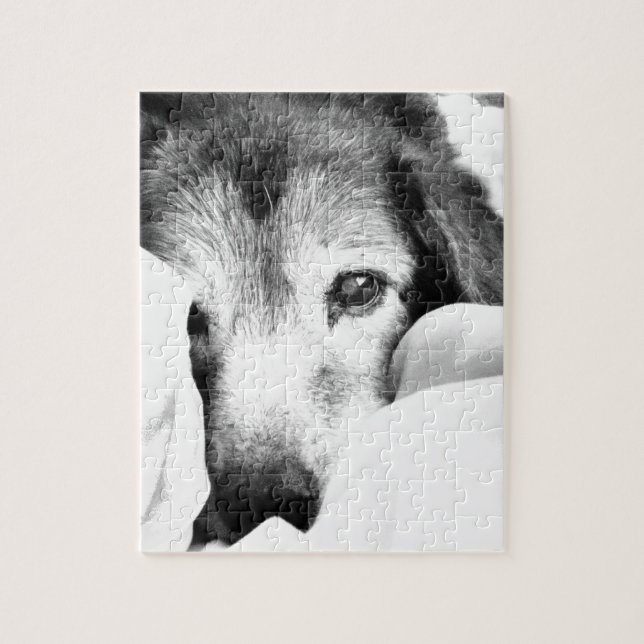 Puzzle perro acurrucado dormilón en la cama blanco negro (Vertical)