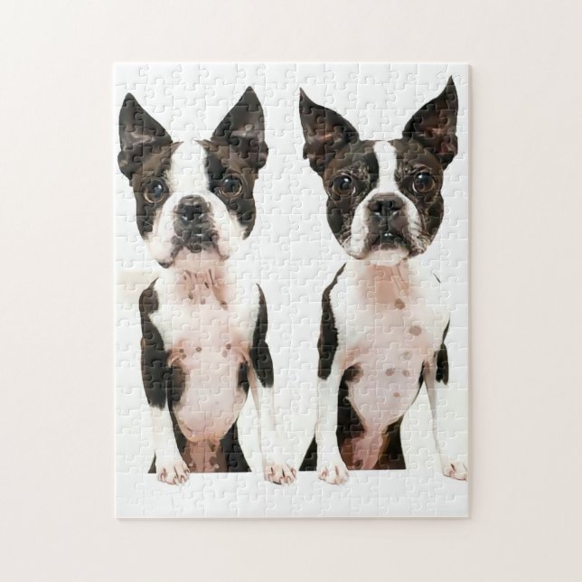 Puzzle Perro adorable de la caricatura del Boston Terrier (Vertical)