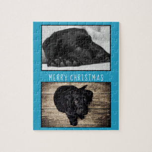 Puzzle Perro azul lindo cachorro 2 Navidades de Collage d