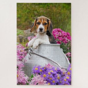 Puzzle Perro beagle tricolor, cachorro en el Corazón - Va