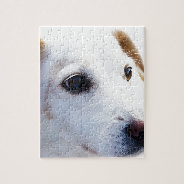Puzzle Perro blanco con ojos fieles, Mascotas animales pe (Vertical)