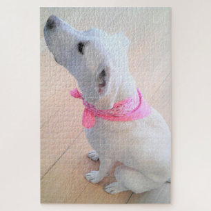 Puzzle Perro blanco lindo con bufanda rosa
