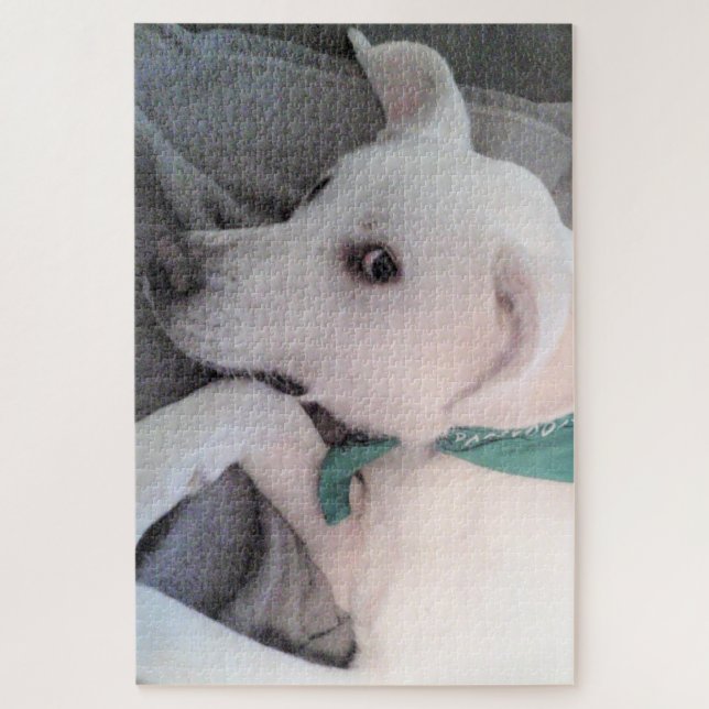 Puzzle Perro blanco perezoso y lindo con bufanda verde (Vertical)