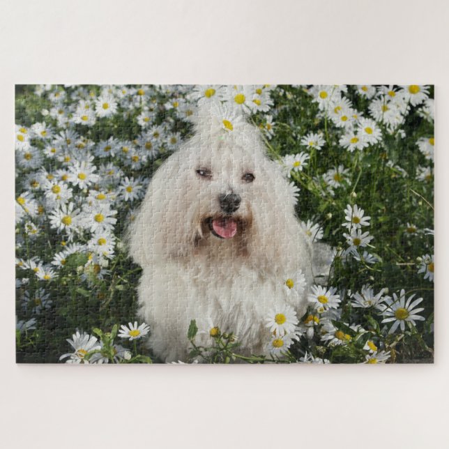 Puzzle Perro blanco trenzado con jardín de flores blancas (Horizontal)